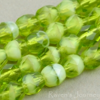 Round Faceted (4mm) Olivine White Core Transparent Opaque