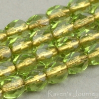 Round Faceted (4mm) Olivine Green Transparent with Bronze Lining