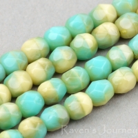 Round Faceted (4mm) Turquoise Ivory Mix Opaque