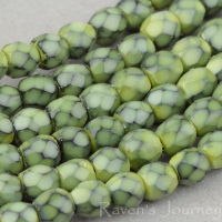 Round Faceted (3mm) Green (Sage) Opaque with Jet Honeycomb