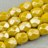 Round Faceted (4mm) Mustard Orange Opaque with White Luster