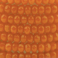 Gem Cut Microspacer (3x2mm) Bright Orange Opaline