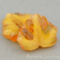 Maple Leaf (13x11mm) Orange Amber with White Core Opaque Transparent