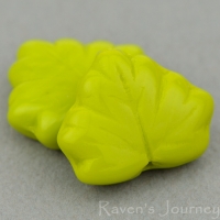 Maple Leaf (13x11mm) Gaspeite Opaque