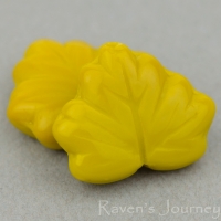 Maple Leaf (13x11mm) Mustard Opaque