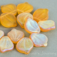 Wide Leaf (15x12mm) Amber Transparent Matte with AB