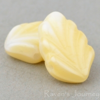 Fan Leaf (12x8mm) Ivory White Mix Silk Opaque