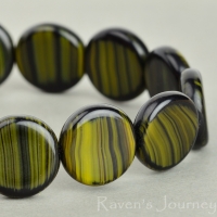 Pressed Coin (12mm) Gaspeite Tiger's Eye