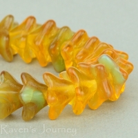5 Point Bellflower (6x9mm) Amber Turquoise Transparent Opaque