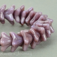 5 Point Bellflower (6x9mm) Purple Opaque with White Luster
