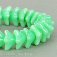 5 Point Bellflower (6x9mm) Mint Green Opaque with White Luster