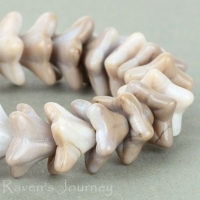 5 Point Bellflower (6x9mm) Taupe White Mix Opaque