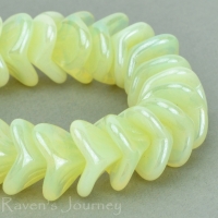 Large Bellflower (12x9mm) Yellow Custard Opaline with White Luster