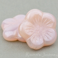 Flat Flower (14mm) Pink (Vintage) Opaline with White Luster