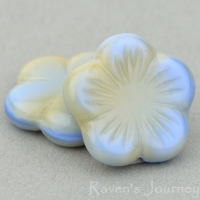 Flat Flower (14mm) Blue Amber Mix Opaque Silk