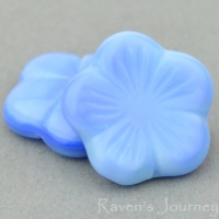 Flat Flower (14mm) Blue Yellow (Vaseline) Mix Silk