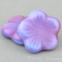 Flat Flower (14mm) Lavender Fuchsia Mix Silk Transparent