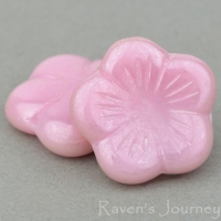 Flat Flower (14mm) Pink Opaline with White Luster