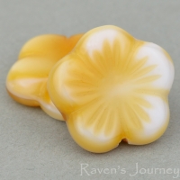 Flat Flower (14mm) Ivory White Mix Silk Transparent