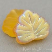 Maple Leaf (13x11mm) Amber Transparent Matte with AB Finish