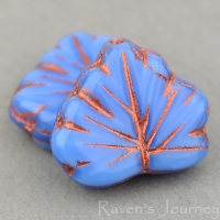 Sky Blue Maple Leaf Beads, 13mm, Matte, Ab Finish, Gold Wash, 20