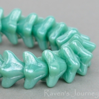5 Point Bellflower (6x9mm) Turquoise Opaque with White Luster