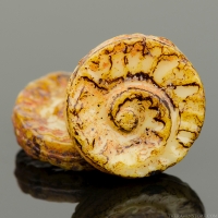 Fossil (18mm) Ivory Opaque with Picasso Finish