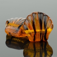 Sea Shell (11mm) Brown Tortoise Transparent Mix