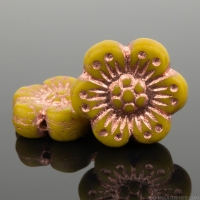 Wild Rose (14mm) Mustard Yellow Opaque with Copper Wash