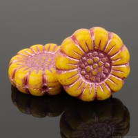 Sunflower (13mm) Yellow Opaque with Pink Wash