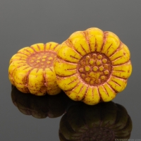 Sunflower (13mm) Yellow Opaque with Copper Wash