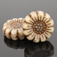 Sunflower (13mm) Ivory Opaque with Dark Bronze Wash