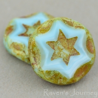 Scalloped Coin with Star (16mm) Sky Blue Silk with Picasso