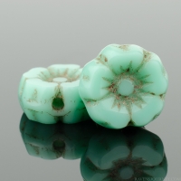 Hibiscus Flower (7mm) Turquoise Opaque with Light Tan Wash