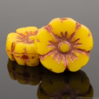 Hibiscus Flower (10mm) Marigold Yellow Opaque with Copper Wash