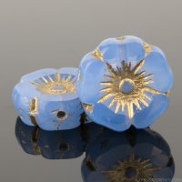 Hibiscus Flower (12mm) Sapphire Blue Opaline with Gold Wash