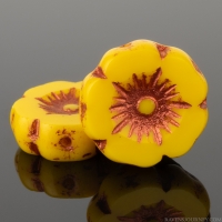 Hibiscus Flower (12mm) Marigold Yellow Opaque with Copper Wash