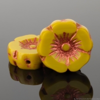 Hibiscus Flower (12mm) Mustard Yellow Opaque with Copper Wash