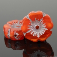 Hibiscus Flower (12mm) Orange Opaline Mix with Silver Wash
