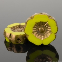 Hibiscus Flower (12mm) Gaspeite Green Opaque with Bronze Finish