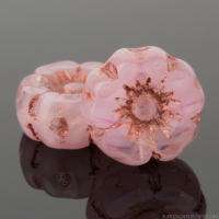 Hibiscus Flower (7mm) Pink Transparent Mix with Copper Wash