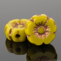 Hibiscus Flower (7mm) Mustard Yellow Opaque with Copper Wash