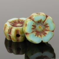 Hibiscus Flower (7mm) Turquoise Silk (Vaseline) with Picasso Finish