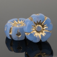 Hibiscus Flower (7mm) Sapphire Blue Opaline with Gold Wash