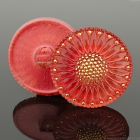 (32mm) Round Sunflower Salmon Pink with Gold Paint (I)